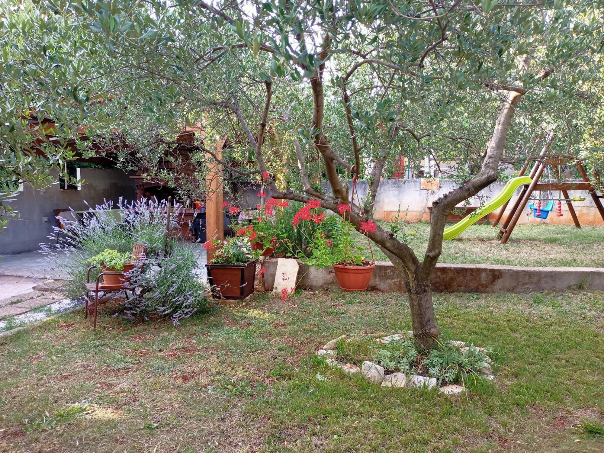 Apartments Vretenar Novigrad Istria Esterno foto