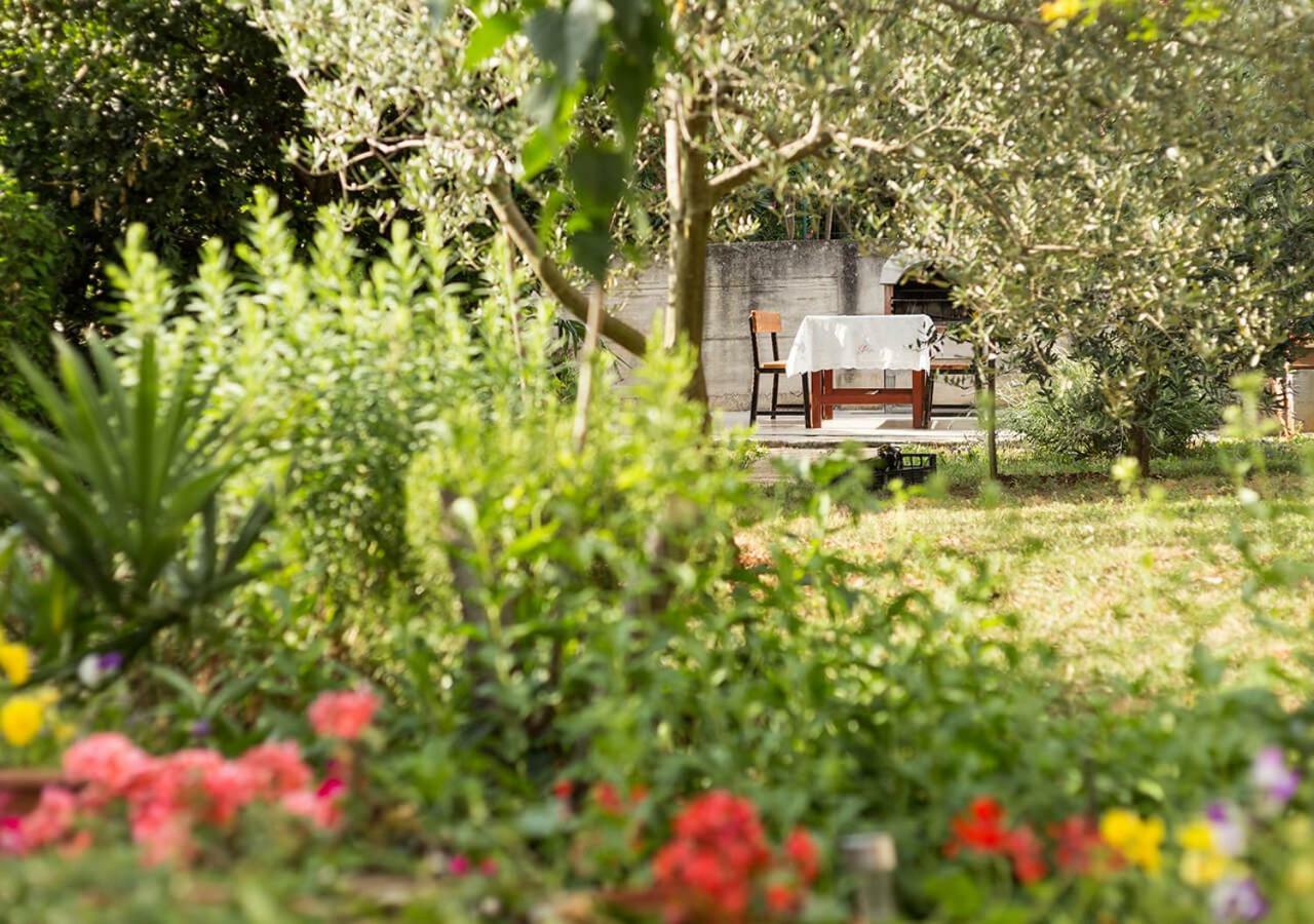 Apartments Vretenar Novigrad Istria Esterno foto